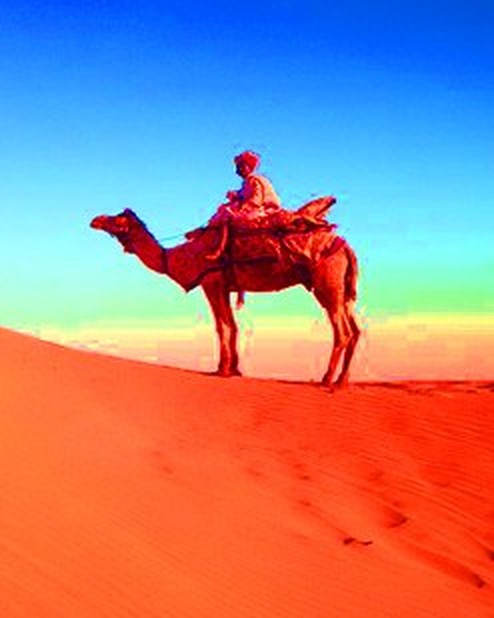 A camel rider crossing a golden dune in Rajasthan